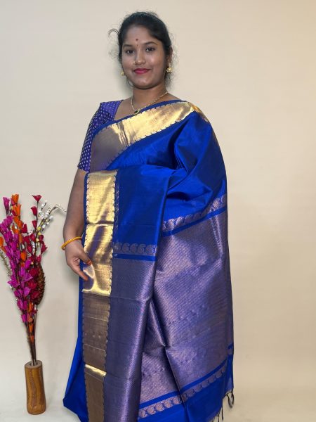 Bavanchi Silk Cotton In MS Blue With Traditional Border